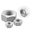 Hex Nut